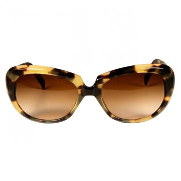 Picture of Sunglasses Jone Dark Tortoi Shell