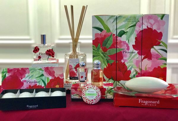Picture for category Pivoine the year 2017