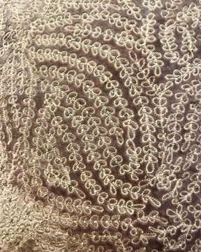 Picture of SOPHIA: Light Brown Silk, Sequin & Velvet Cushion